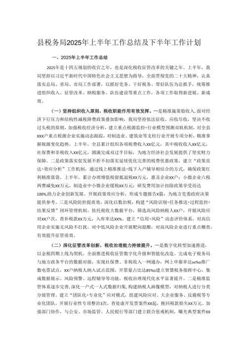 县税务局2025年上半年工作总结及下半年工作计划.docx