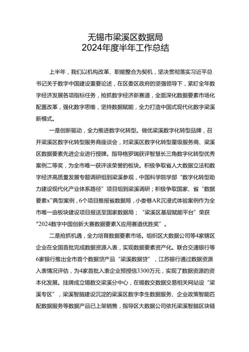 梁溪区数据局2024年度半年工作总结.docx