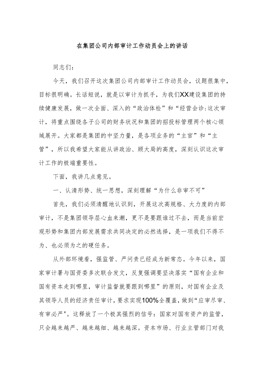 在集团公司内部审计工作动员会上的讲话.docx_第1页