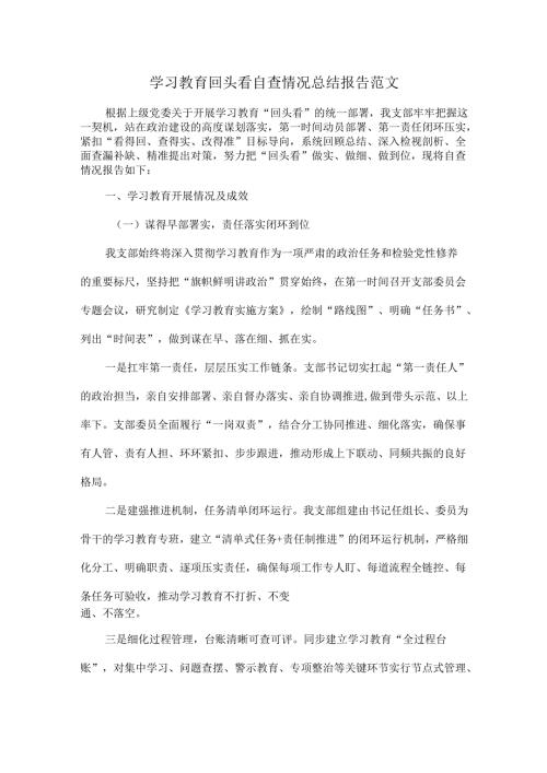 学习教育回头看自查情况总结报告范文.docx