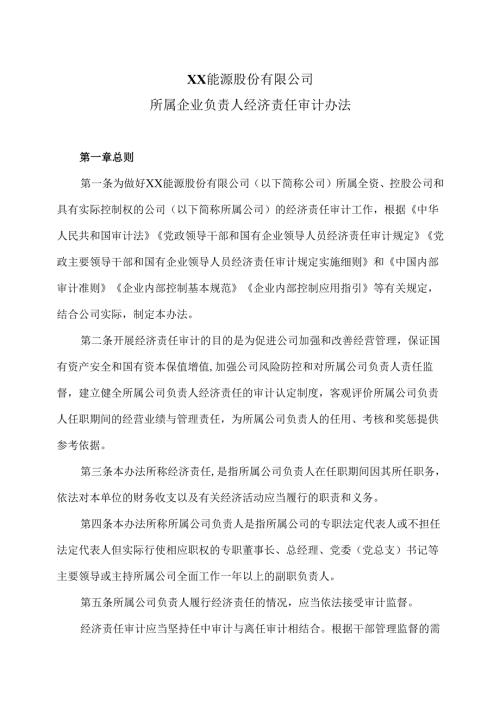 XX能源股份有限公司所属企业负责人经济责任审计办法（2025年）.docx