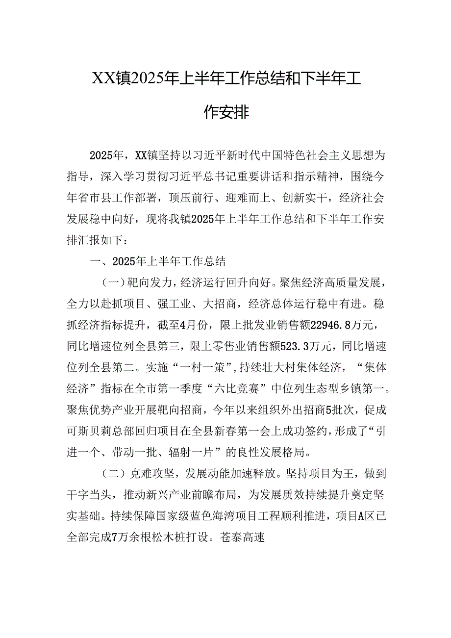 XX镇2025年上半年工作总结和下半年工作安排.docx_第1页
