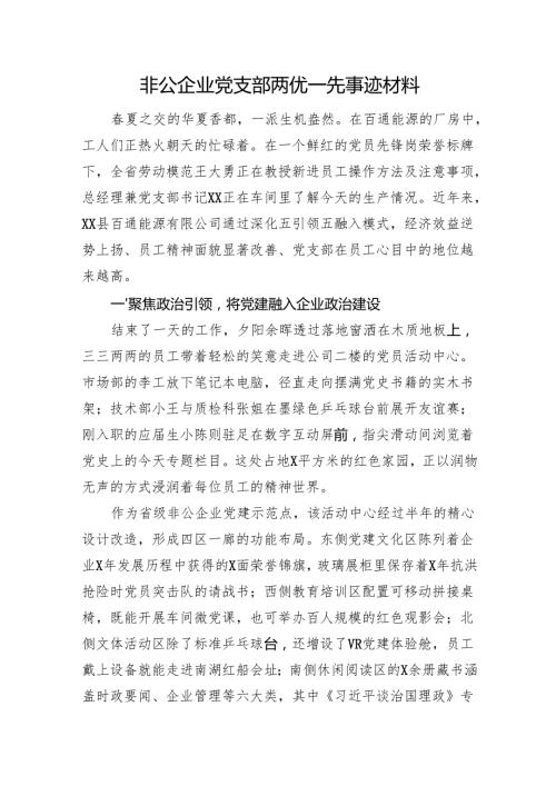 非公企业党支部两优一先事迹材料.docx