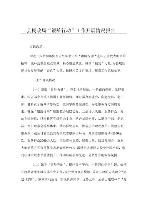 县民政局“银龄行动”工作开展情况报告.docx