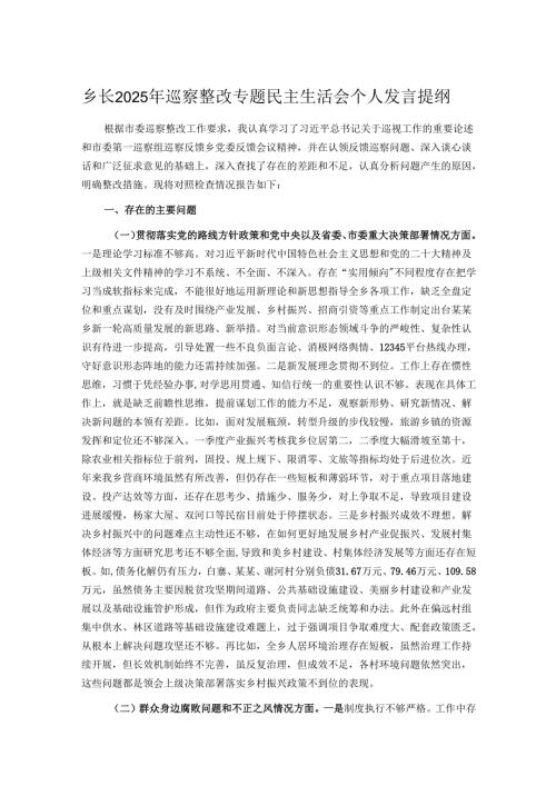 乡长2025年巡察整改专题民主生活会个人发言提纲.docx