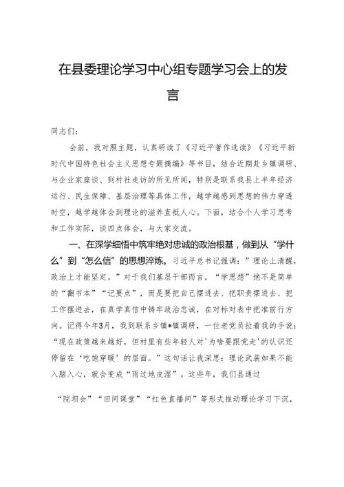在县委理论学习中心组专题学习会上的发言.docx