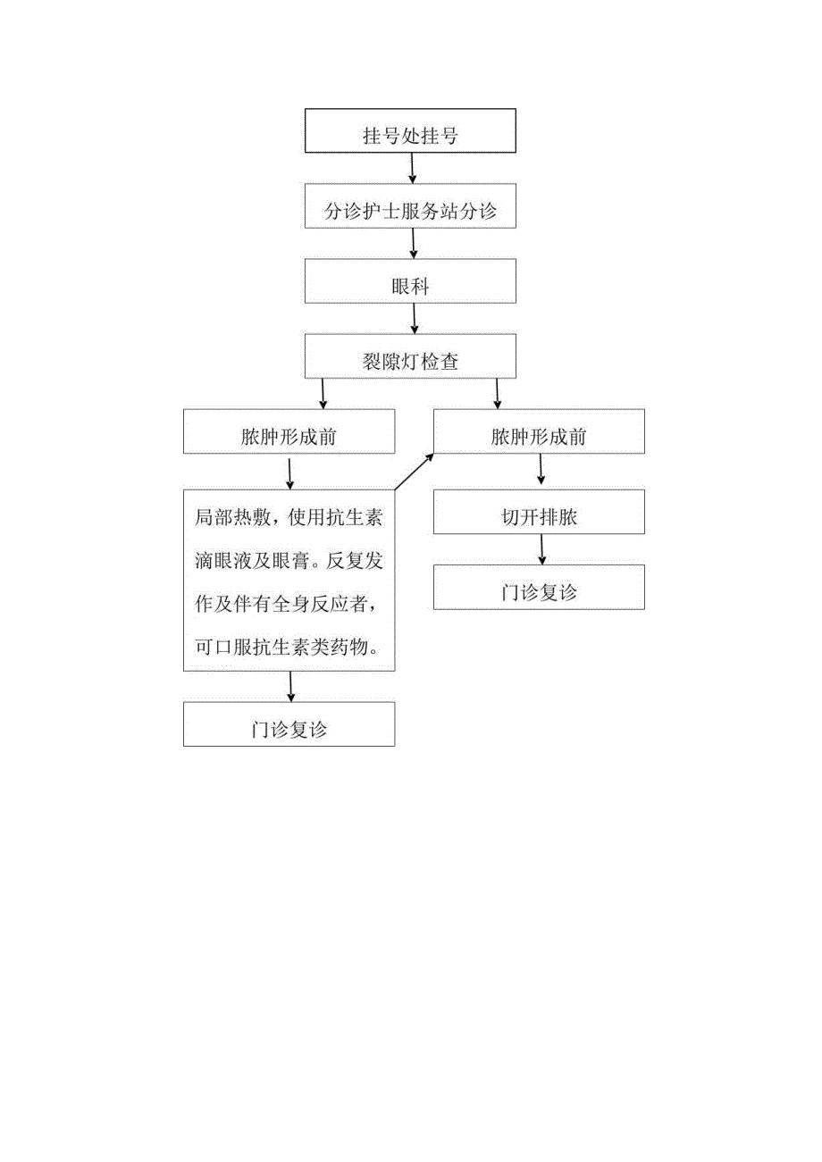 优质服务基层行-儿童眼部常见疾病诊疗常规.docx_第2页