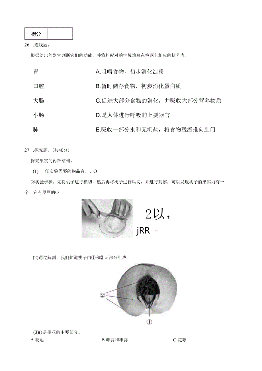 广东省汕尾市海丰县2024-2025学年三年级下学期期末科学试题.docx_第3页