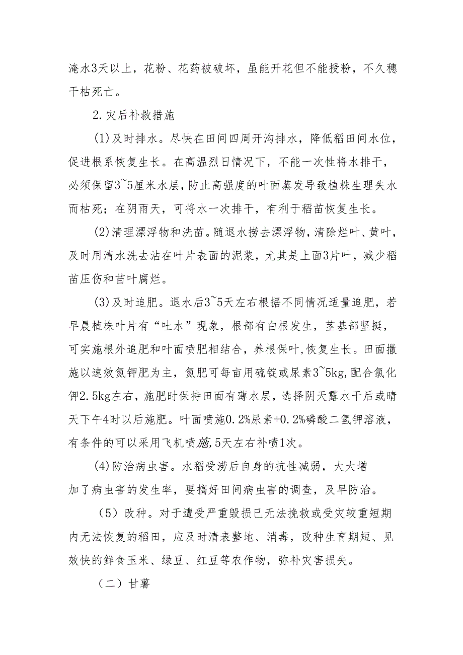 小宗粮食作物防灾减灾促丰产技术方案.docx_第3页
