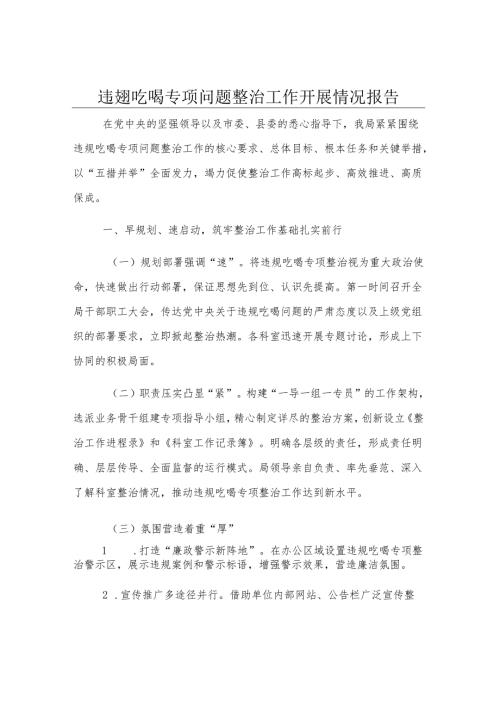 违规吃喝专项问题整治工作开展情况报告.docx