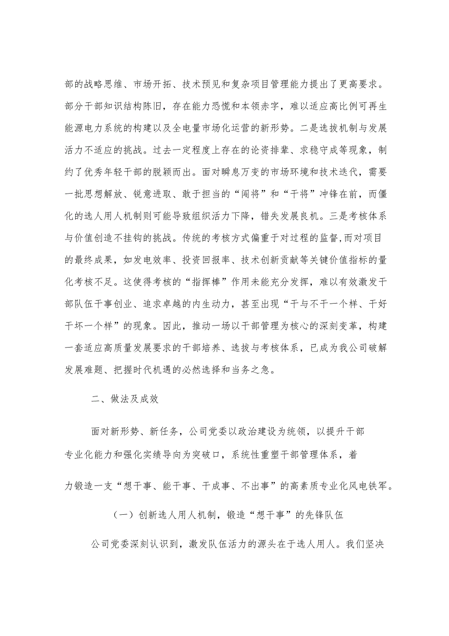 分公司关于加强领导干部队伍建设聚力推进风电产业高质量发展经验材料.docx_第2页