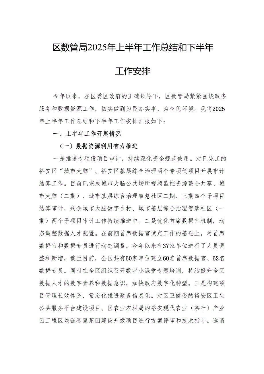 区数管局2025年上半年工作总结和下半年工作安排.docx_第1页