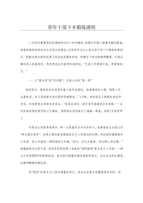 青年干部下乡锻炼感悟.docx