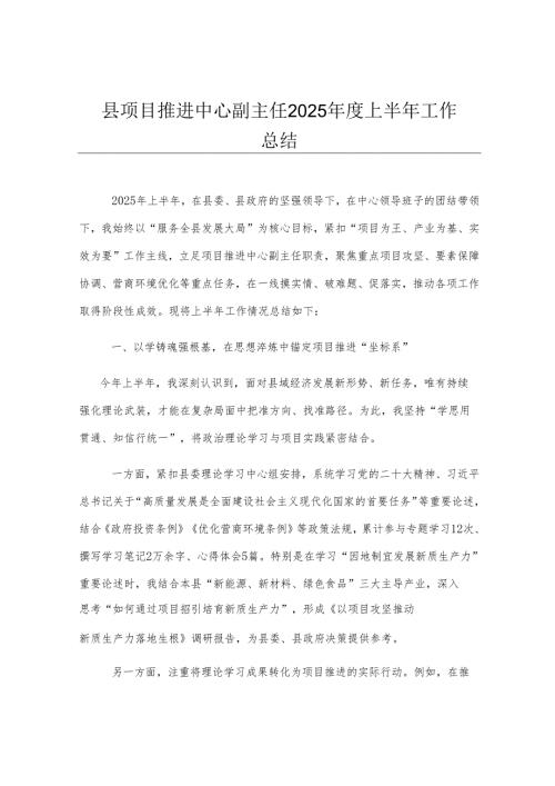 县项目推进中心副主任2025年度上半年工作总结.docx