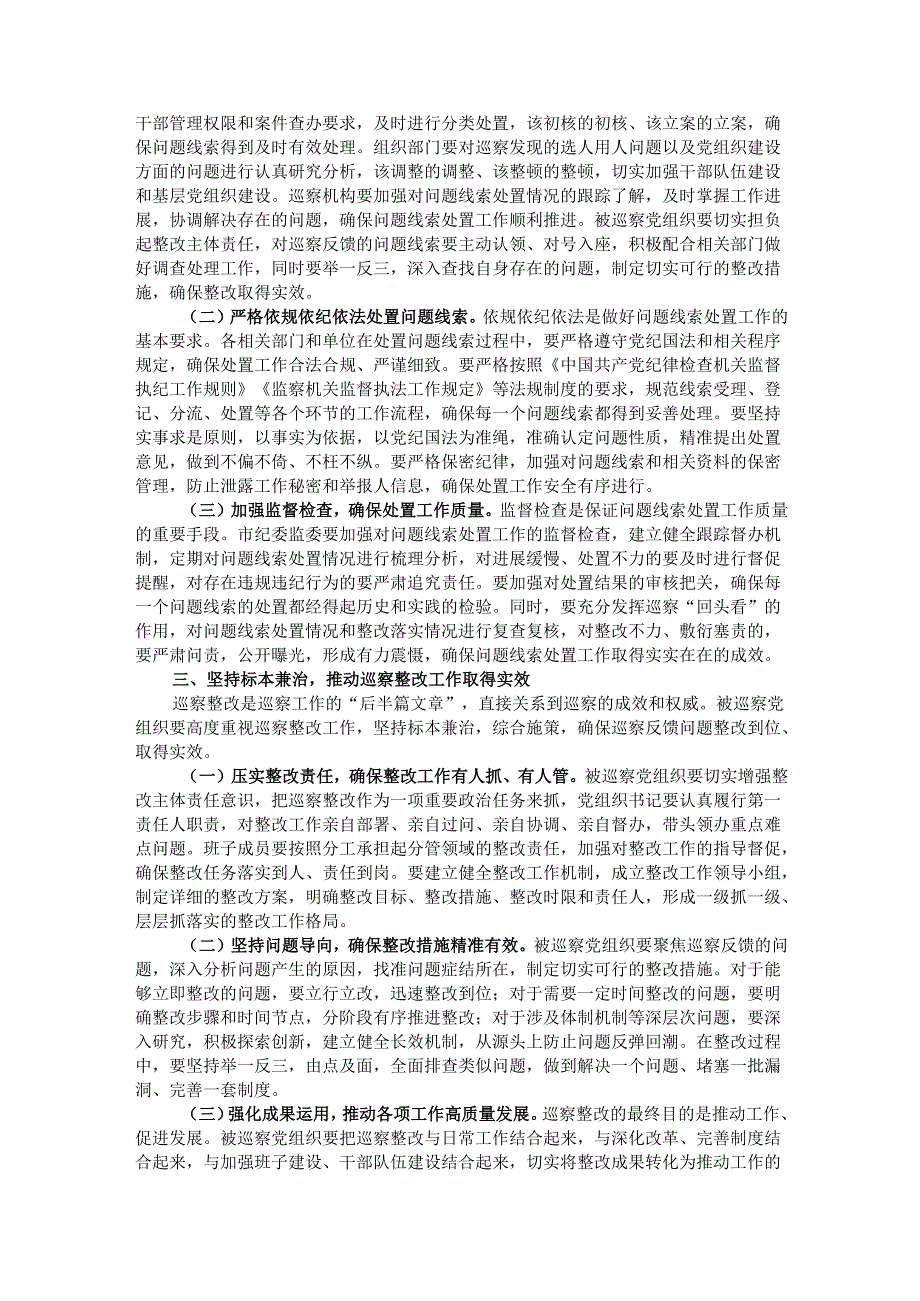 在2025年市委巡察问题线索集中交办会上的讲话.docx_第2页