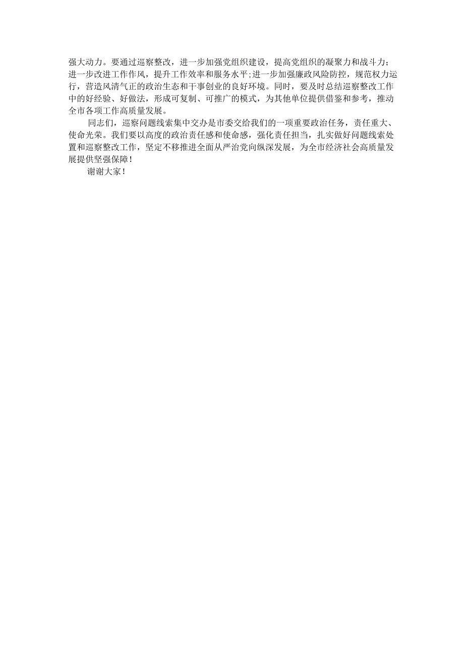 在2025年市委巡察问题线索集中交办会上的讲话.docx_第3页