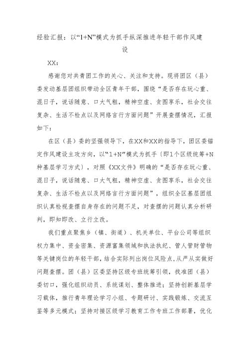 经验汇报：以“1＋N”模式为抓手纵深推进年轻干部作风建设.docx