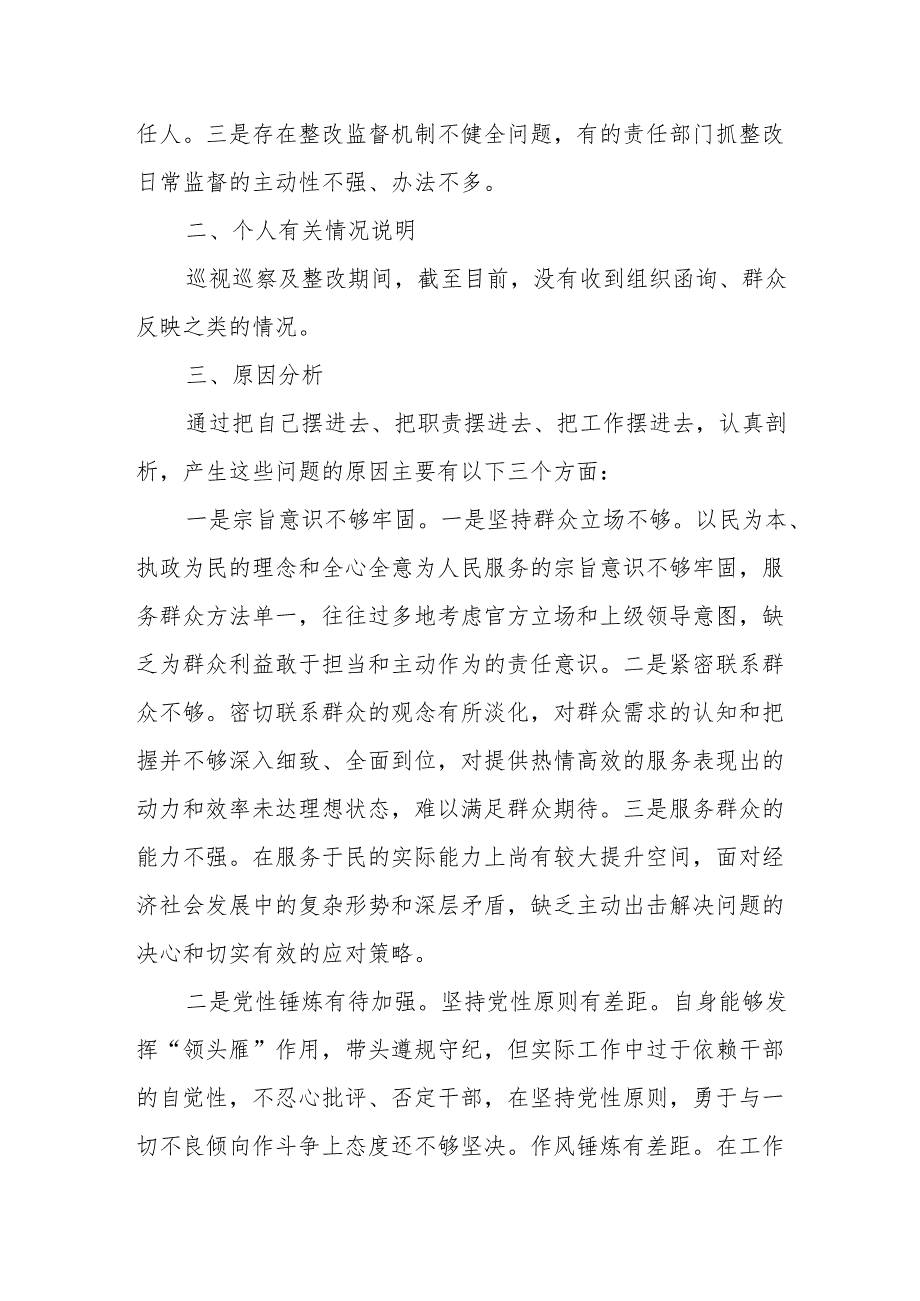 副乡镇长巡察整改专题民主生活会个人发言提纲2.docx_第3页