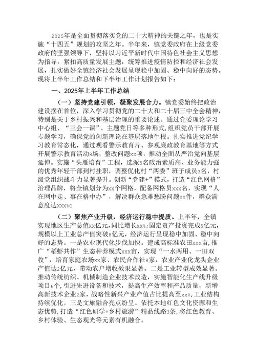 镇党委政府关于2025年上半年工作总结和下半年工作计划的报告.docx