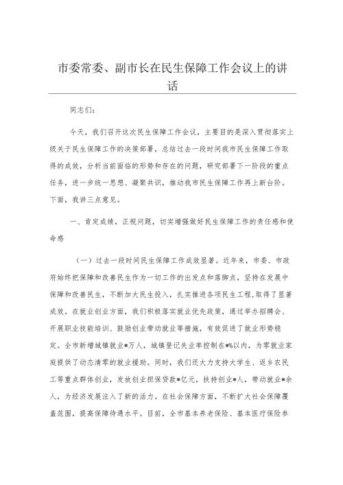 市委常委、副市长在民生保障工作会议上的讲话.docx