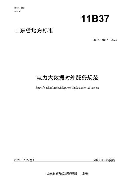 电力大数据对外服务规范_地方标准.docx
