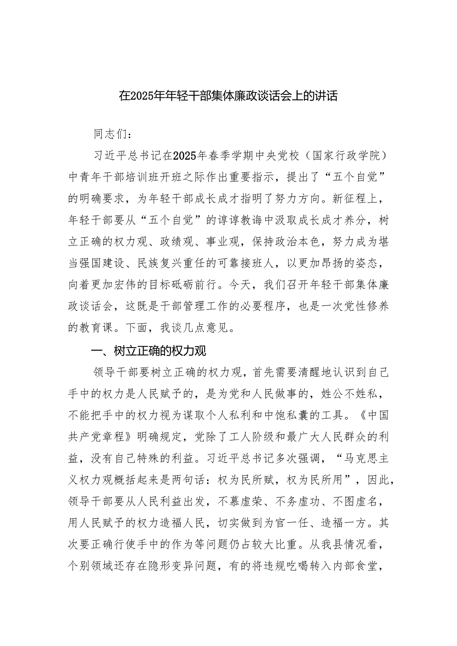 在2025年年轻干部集体廉政谈话会上的讲话.docx_第1页