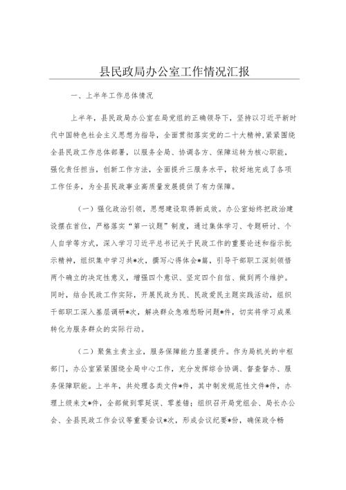 县民政局办公室工作情况汇报.docx