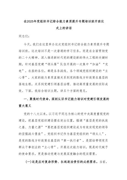 在2025年党组织书记综合能力素质提升专题培训班开班仪式上的讲话.docx
