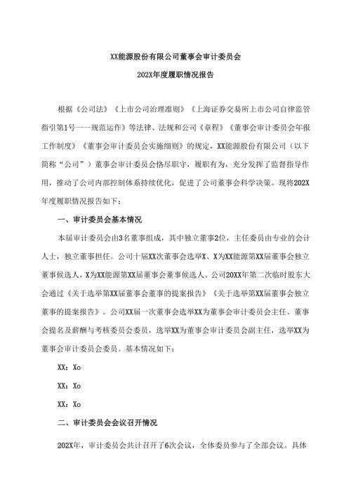 XX能源股份有限公司董事会审计委员会202X年度履职情况报告（2025年）.docx