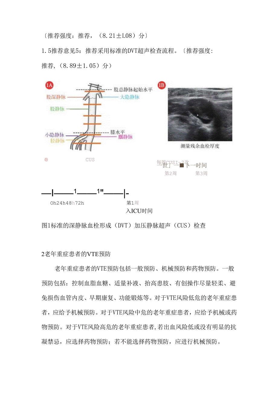 老年重症患者静脉血栓栓塞症预防中国专家共识（2023）.docx_第3页
