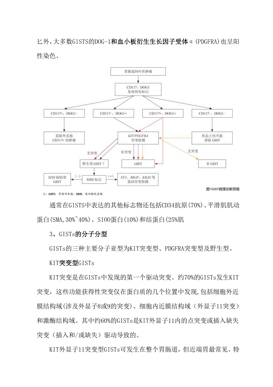 胃肠间质瘤的基因分子诊疗.docx_第3页