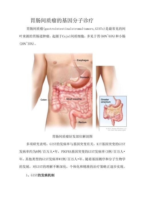 胃肠间质瘤的基因分子诊疗.docx