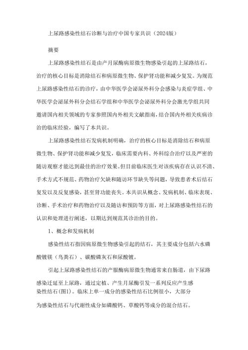 上尿路感染性结石诊断与治疗中国专家共识（2024版）.docx