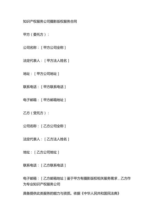 知识产权服务公司摄影版权服务合同.docx