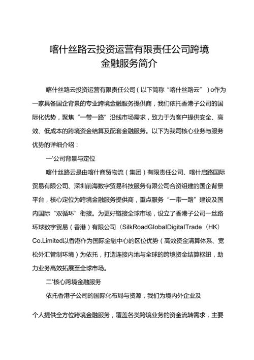 喀什丝路云公司简介.docx