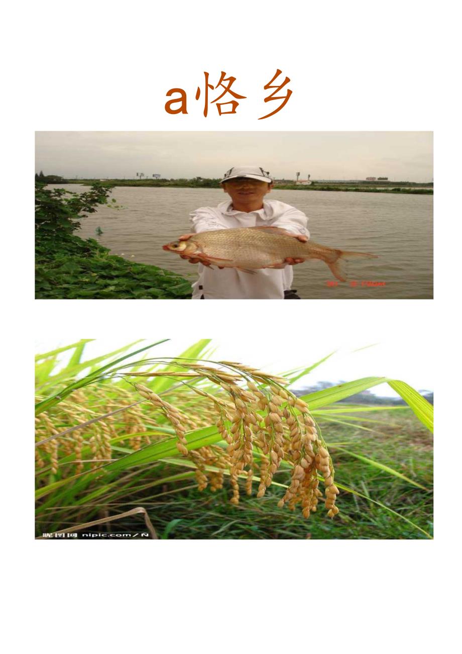 小学一年级校本课程教材.docx_第1页