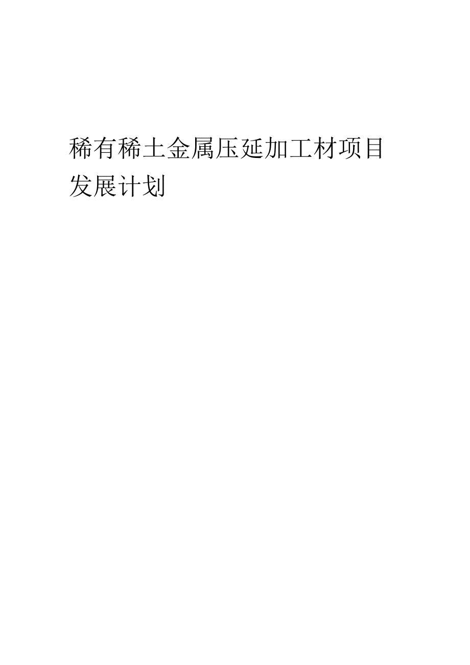 2025年稀有稀土金属压延加工材项目发展计划.docx_第1页