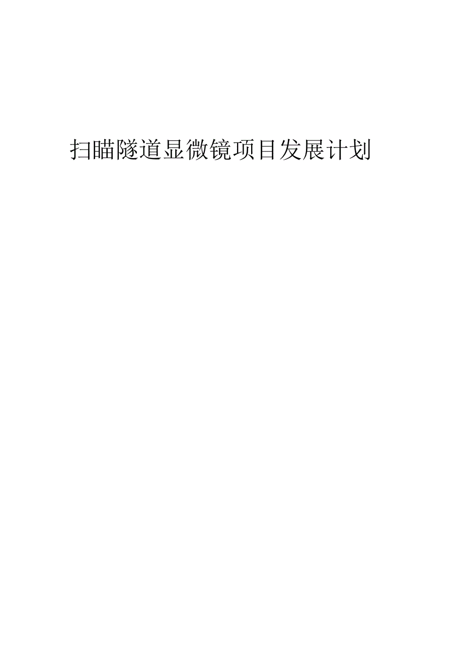 2025年扫瞄隧道显微镜项目发展计划.docx_第1页