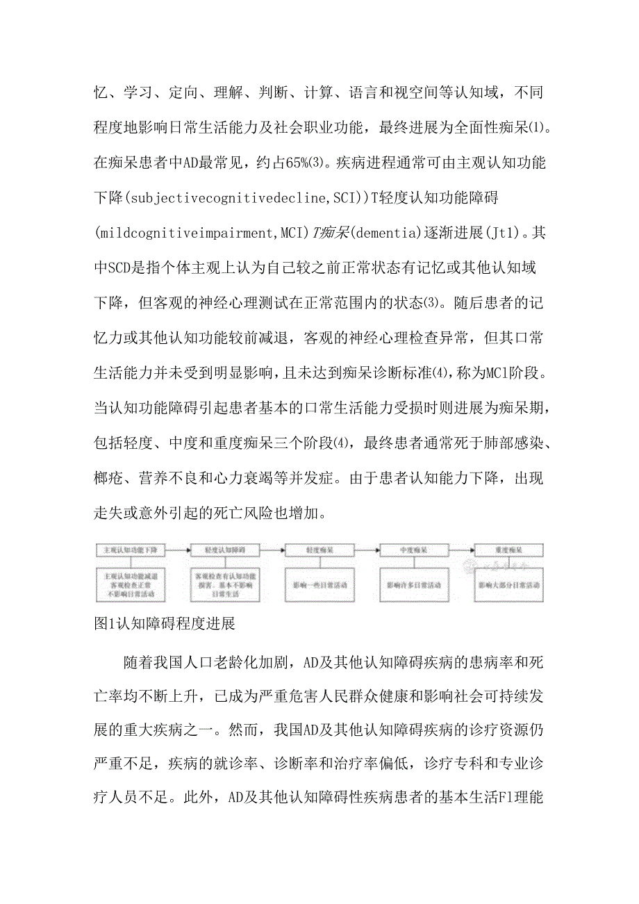 中国阿尔茨海默病蓝皮书（精简版）.docx_第2页