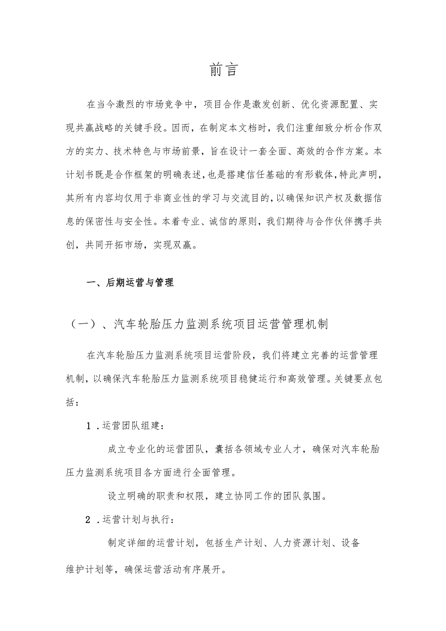 2025年汽车轮胎压力监测系统项目发展计划.docx_第2页