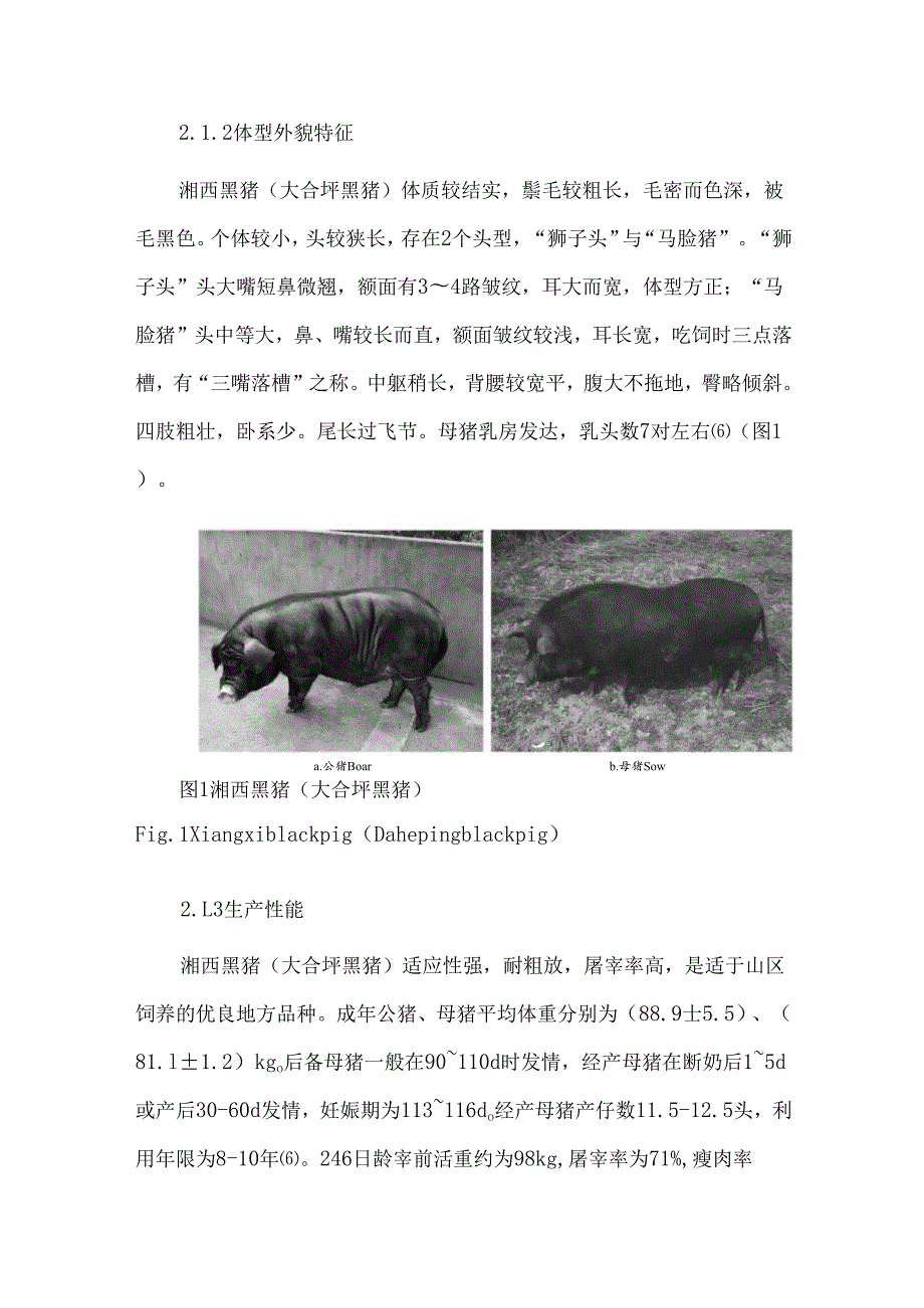 怀化市地方畜禽遗传资源保护利用现状与建议.docx_第3页