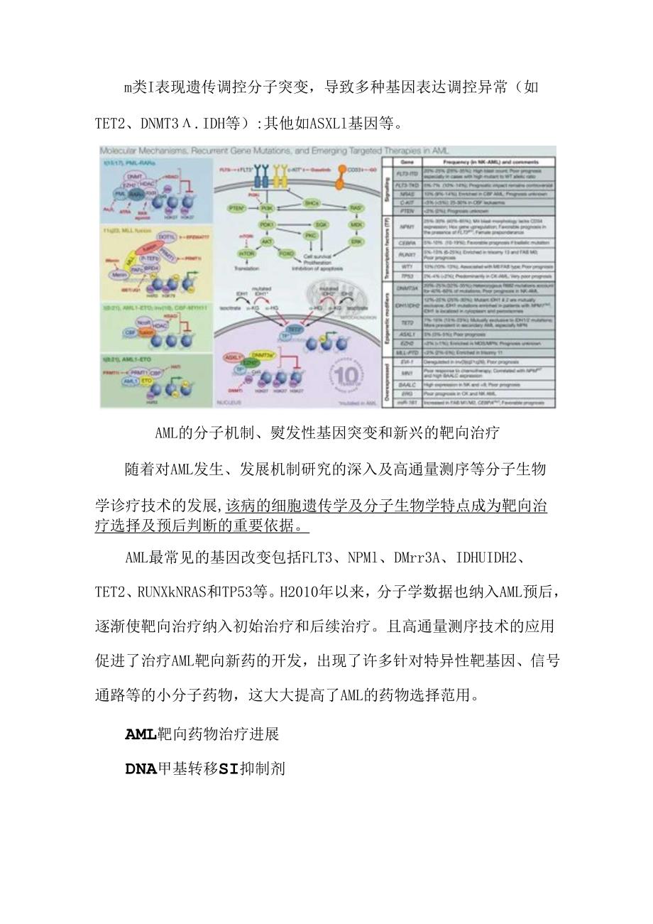 AML靶向治疗药物一览.docx_第2页