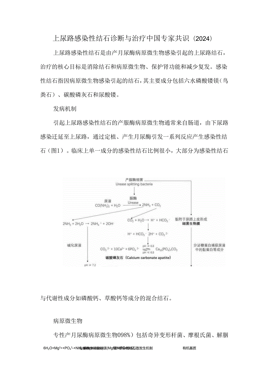 上尿路感染性结石诊断与治疗中国专家共识(2024).docx_第1页