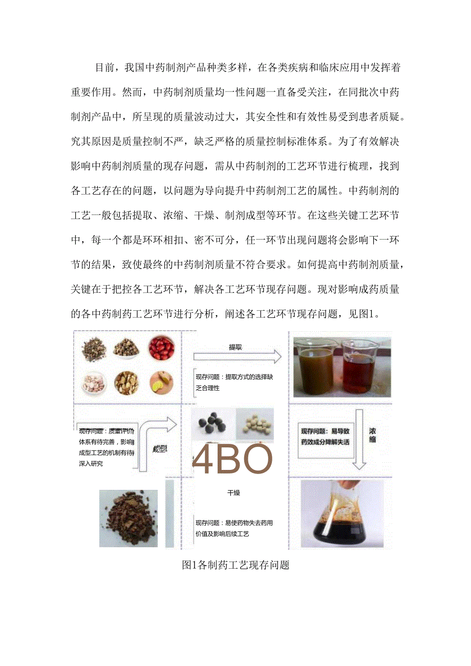 基于工艺与装备视角分析中药制剂质量的关键影响因素.docx_第2页