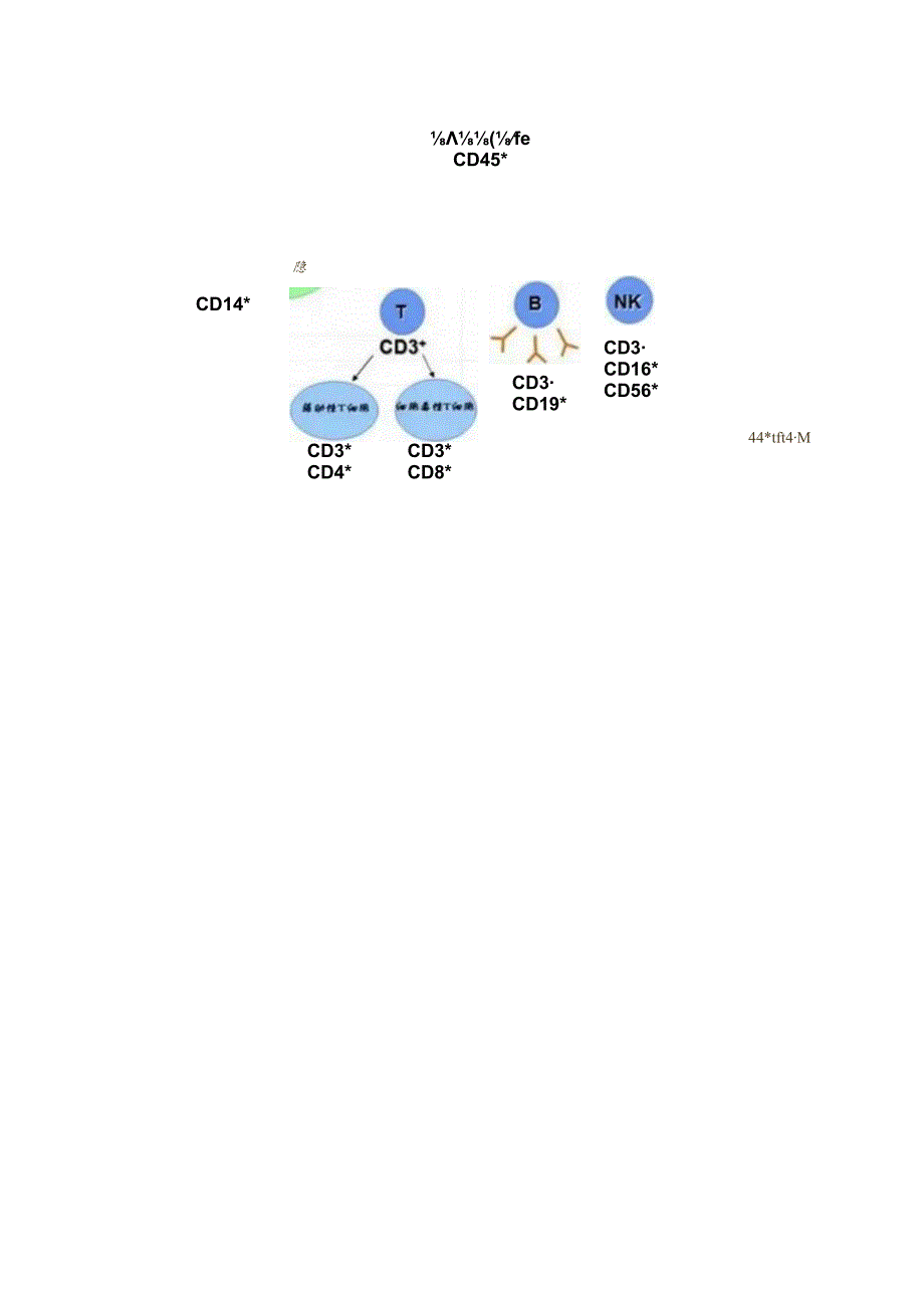 淋巴细胞亚群检测在传染性单核细胞增多症中的临床意义.docx_第3页