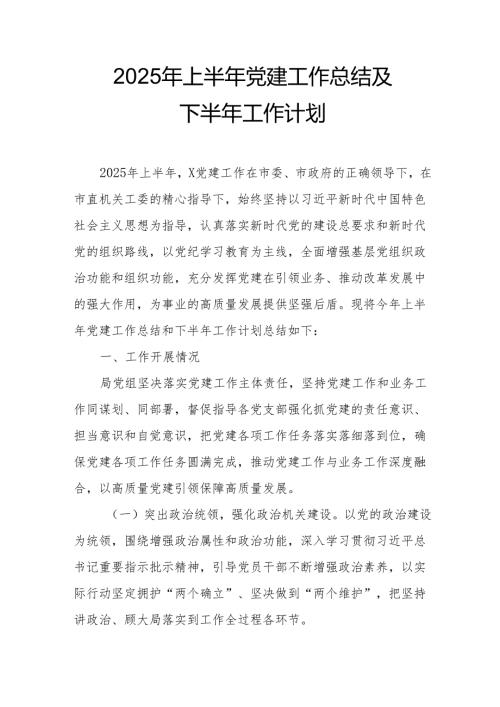 开展2025年上半年《党建工作总结》及下半年工作计划合计7份.docx