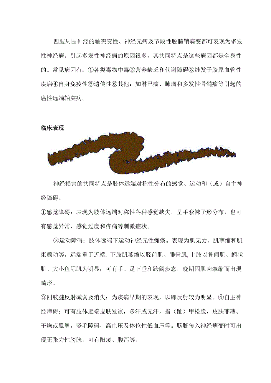 关于多发性神经病的康复治疗.docx_第2页