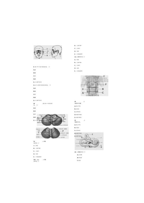 《解剖学》考试卷.docx