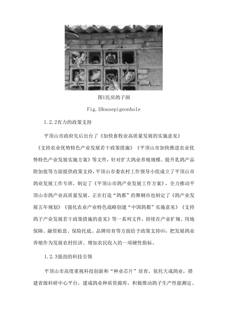 平顶山市鸽业发展现状及对策建议.docx_第3页