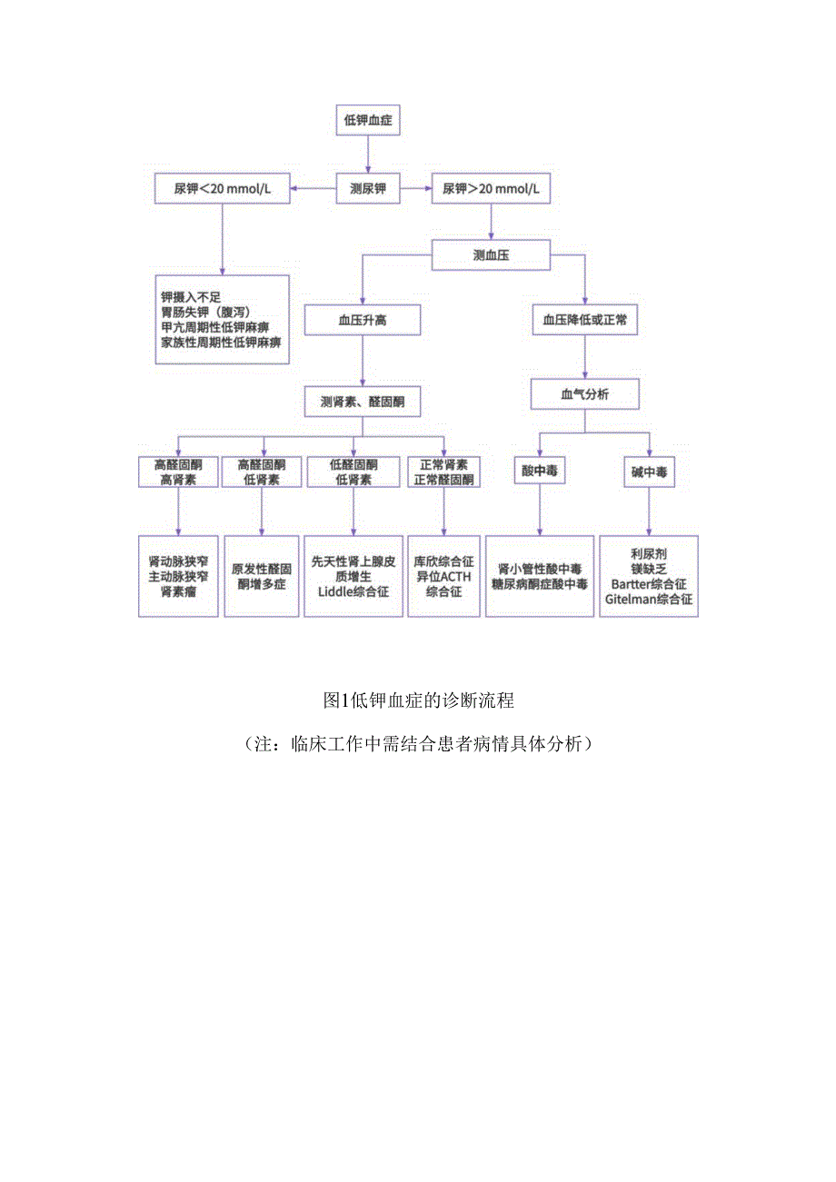 低钾血症的诊断流程.docx_第3页